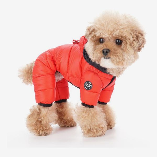 15 Best Dog Jackets and Coats 2021 | The Strategist