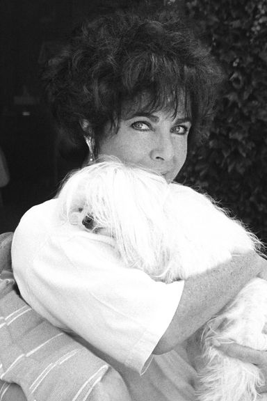 A Glimpse Into Elizabeth Taylor’s Private Life