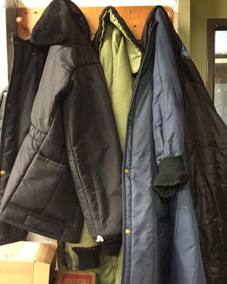 Coats Co.  Puffer Jackets - COATS & JACKETS