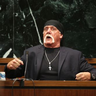 Terry Bollea, aka Hulk Hogan, Testifies In Gawker Media Lawsuit