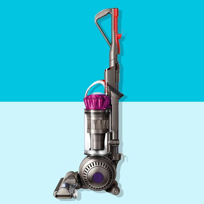 Dyson Upright Vacuum Certified Refurbished Sale on Amazon The Strategist