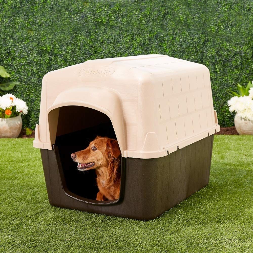 insulated outdoor dog house