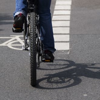 A cyclist pedals along a dedicated bike lane in central Berlin on May 18, 2011. Bicycles are a much used way of travel around the mainly flat German capital and has a good network of dedicated bike lanes around the city. AFP PHOTO / ODD ANDERSEN (Photo credit should read ODD ANDERSEN/AFP/Getty Images)