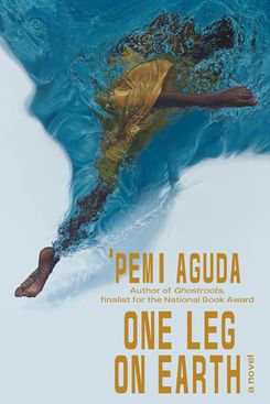 ‘One Leg on Earth,’ by ’Pemi Aguda