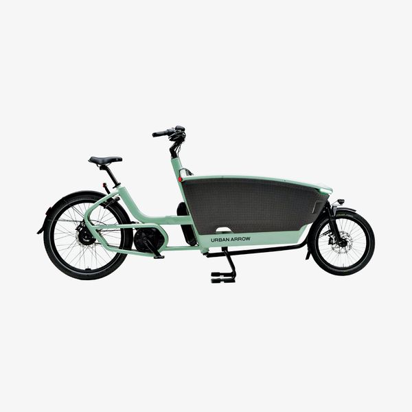 Urban Arrow Family Cargo Bike