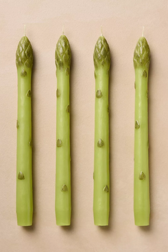 John Derian for Target Unscented Asparagus Candles