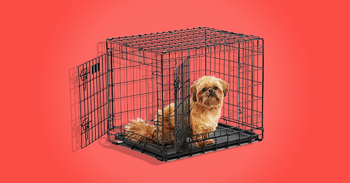The 7 Best Dog Crates and Kennels 2018