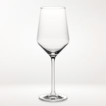 Schott Zwiesel Pure Sauvignon Blanc Glasses