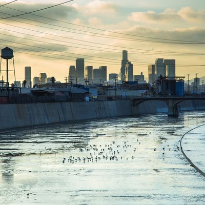 Los Angeles River and Downtown Skyline