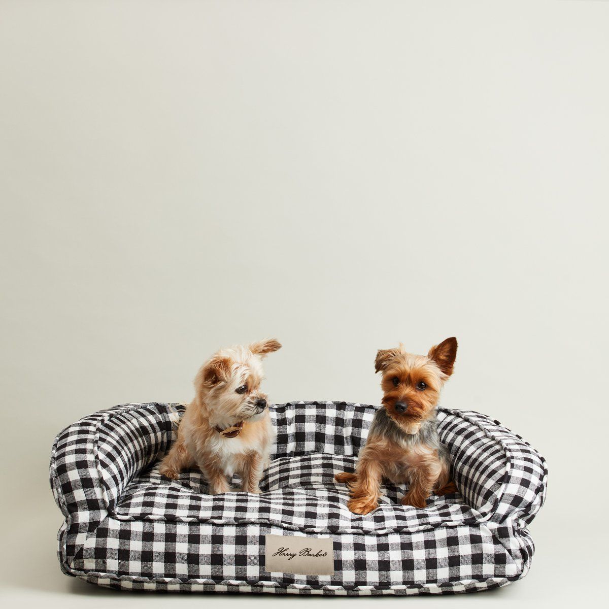 stylish dog beds