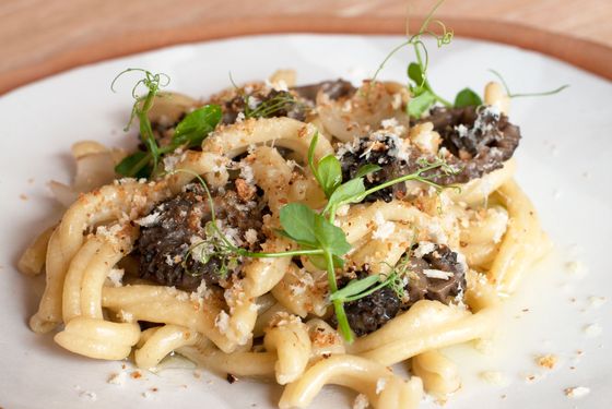 Grano Arso Stracci with morels, rosemary, and Parmesan chile-pepper gremolata.