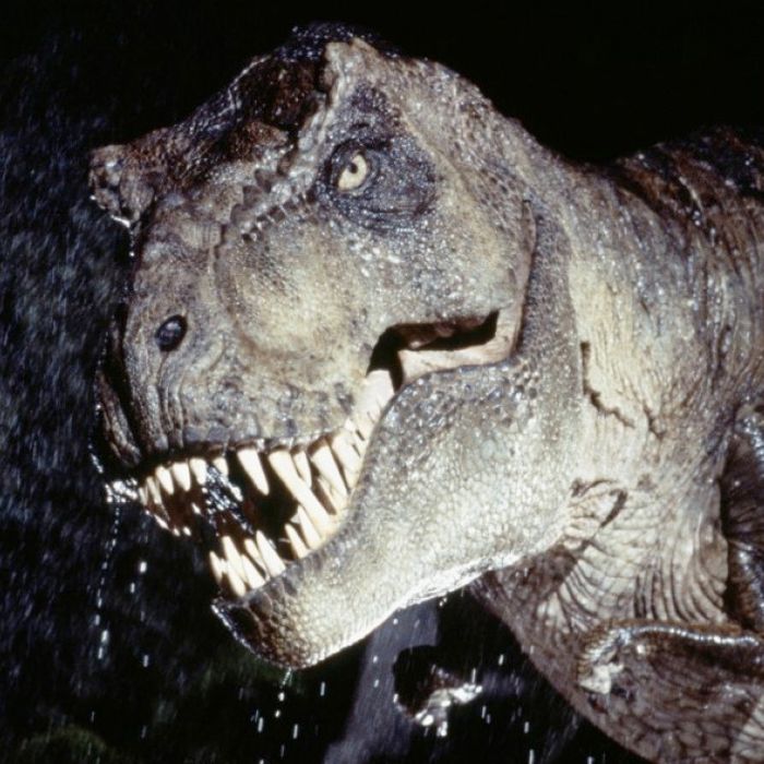 You Ll Never Guess How The Dinosaur Sounds In Jurassic Park Were Made