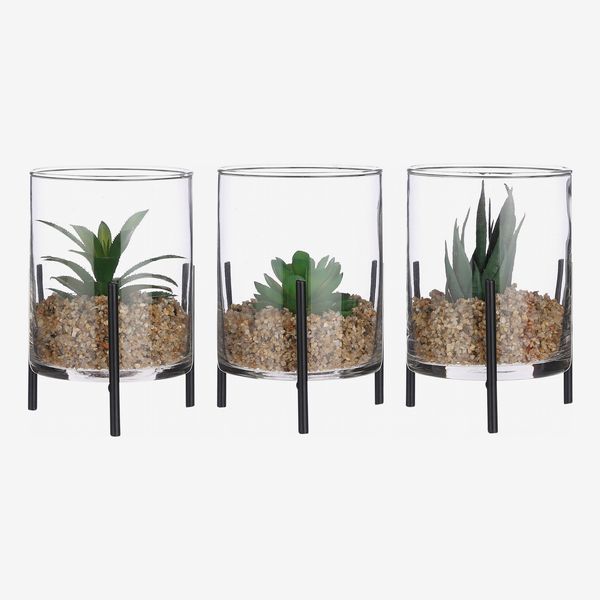 3 - Piece Artificial Succulent in Jar Set