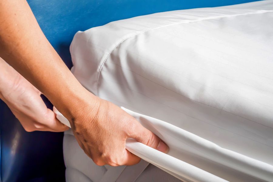 The Best Anti-Bedbug Mattress, Box-Spring, and Pillow Covers