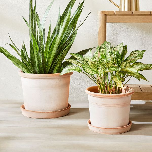 West Elm Bergs Galestro Indoor/Outdoor Planters