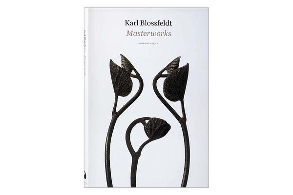 Karl Blossfeldt: Masterworks