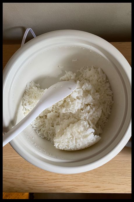 11 Best Rice Cookers | The Strategist