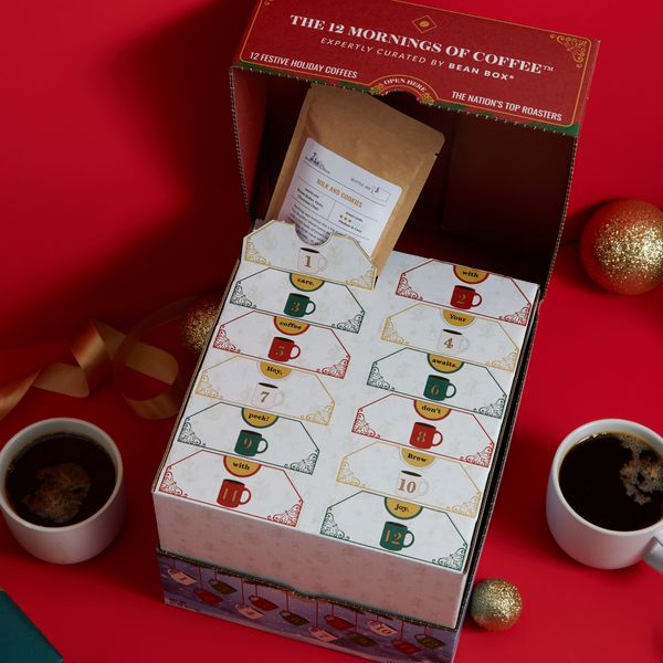  5 Surprise Mini Brands Disney Store Exclusive Holiday Advent  Calendar Gift Lot - Calendar & Collector Case : Home & Kitchen