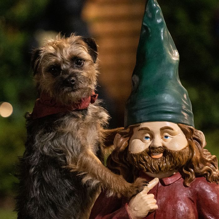 In flagrante delicto with a garden gnome. 