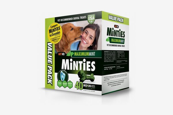 best dog dental care products