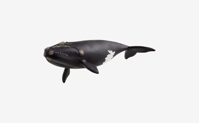 Schleich Wild Life North Atlantic Right Whale