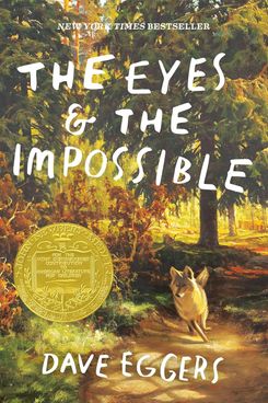 ‘The Eyes and the Impossible,’ by Dave Eggers