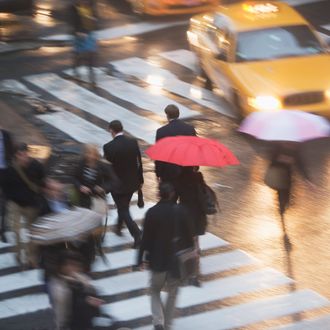 USA, New York state, New York city, pedestrians with umbrellas on zebra crossing