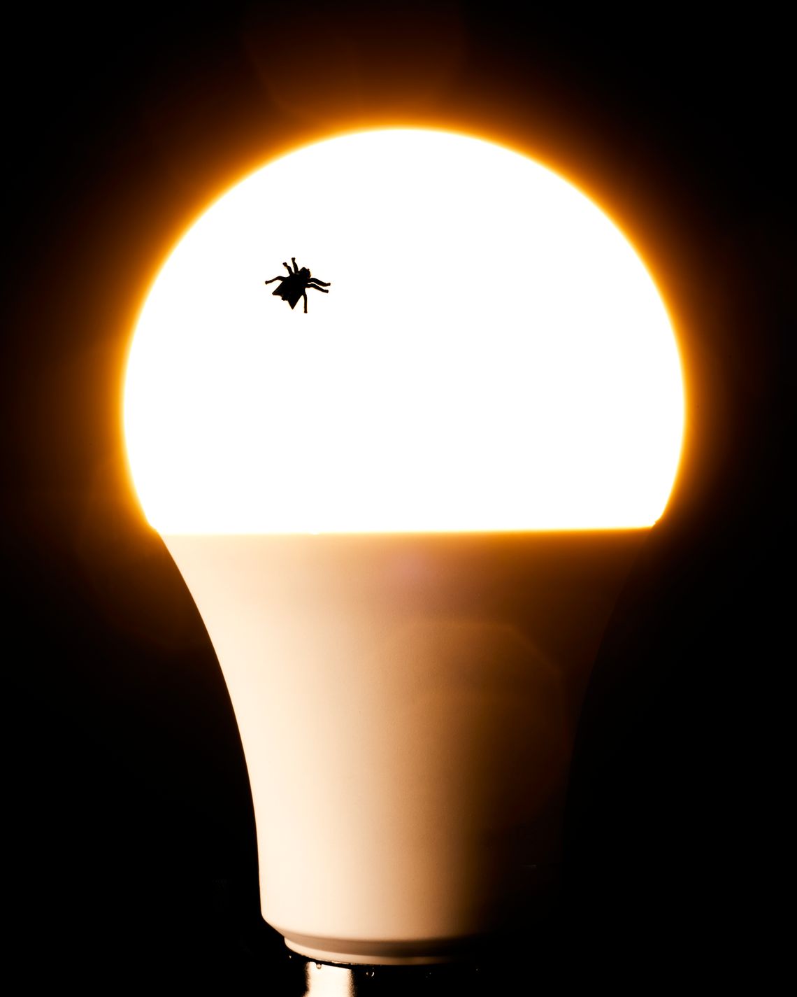 https://pyxis.nymag.com/v1/imgs/6d4/59a/a6c84407424ce776145eefbb3e0e0bb07c-lightbulb-final.2x.rvertical.w570.jpg