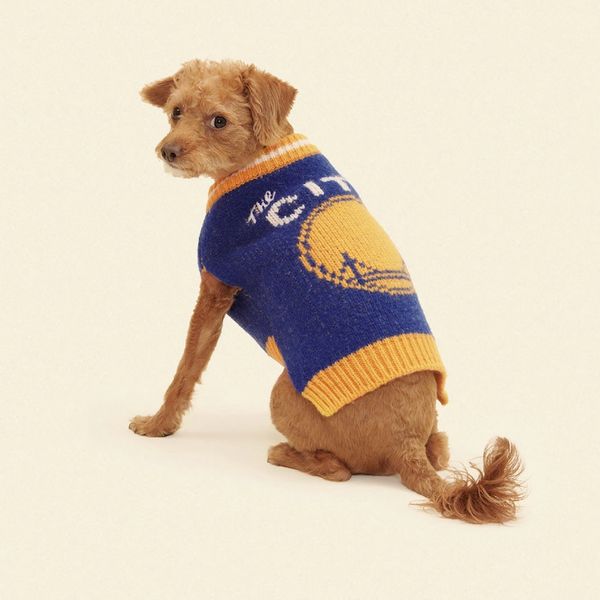 Little Beast X NBA Dog Sweater