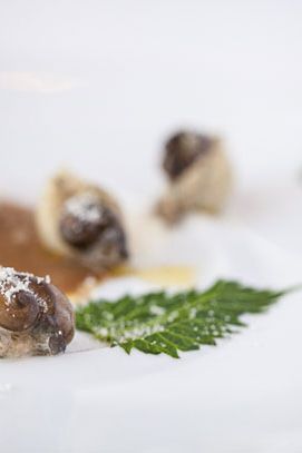 Shell pasta filled with ricotta, porcini, nettles and basil fed snails