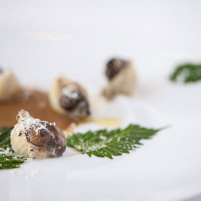 Shell pasta filled with ricotta, porcini, nettles and basil fed snails
