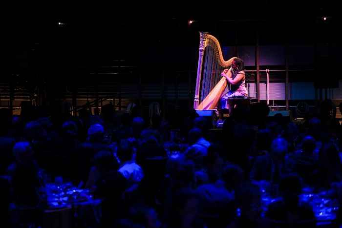 El evento benéfico de primavera de 2024 de BAM (Academia de Música de Brooklyn) rinde homenaje a Solange Knowles y Mikki Shepard