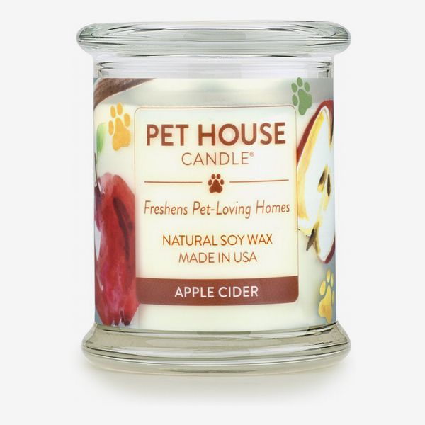 Musty Basement Candle Openbasement Musty Basement Candle Openbasement, Musty Basement Candle