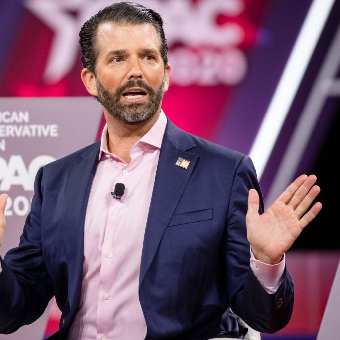 Donald Trump Jr Challenges Hunter Biden To Nepotism Contest 4605