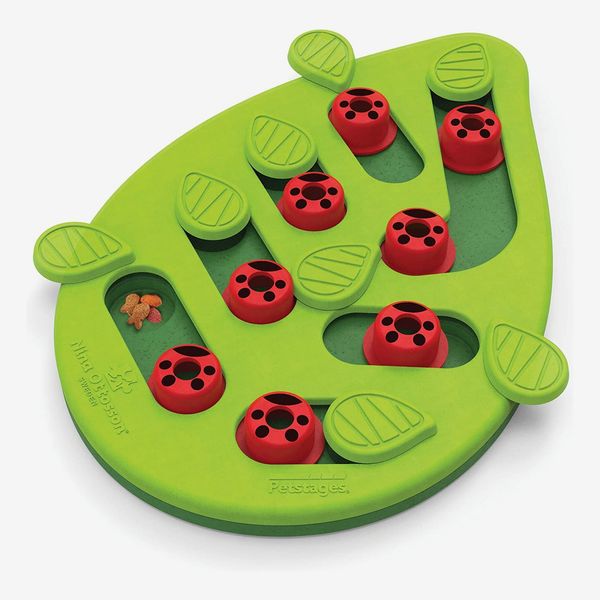 Petstages Nina Ottosson Buggin' Out Puzzle & Play