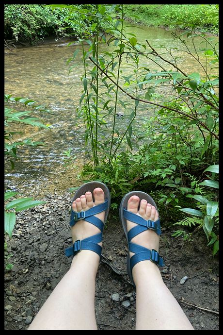A photo of a person's feet wearing blue strappy sandals in front of a creek.