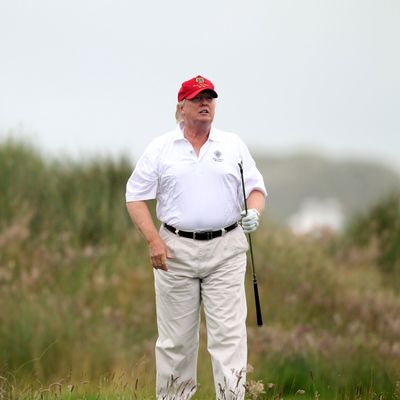 Trump Thinks Exercise Uses Up the Body's 'Finite' Energy