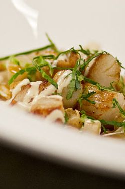 Seared Nantucket Bay scallops with bok choy, salsify, goat XO sauce, and a goat liver aïoli (beer pairing: Cellar Door from Stillwater Artisanal Ales)