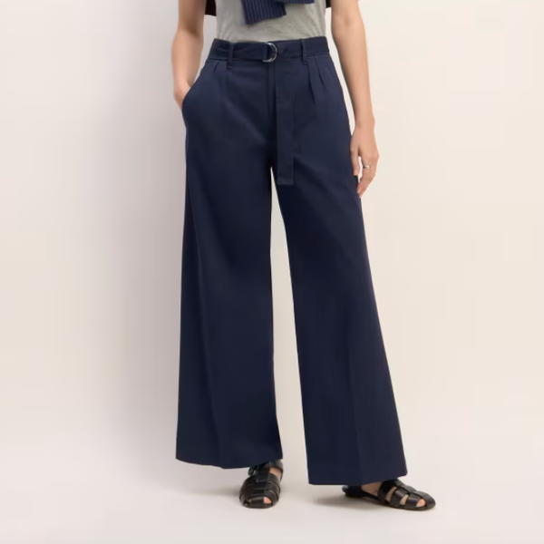 Everlane The Pleated Wide-Leg Chino