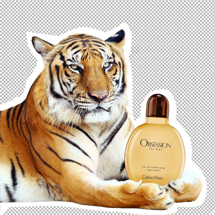 Descubrir 63+ imagen calvin klein obsession big cats