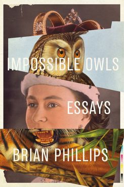 Impossible Owls by Brian Phillips