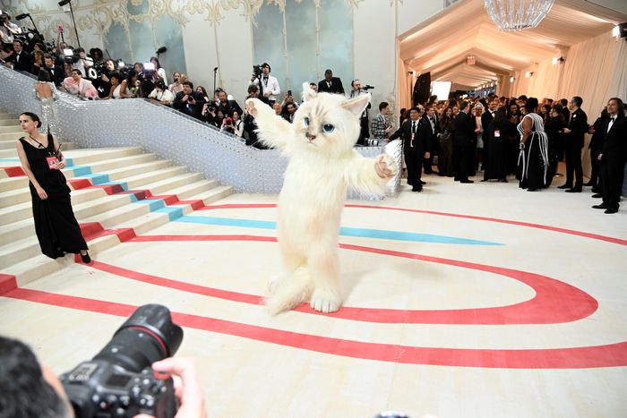 Doja Cat and Jared Leto: Cats at the Met Gala