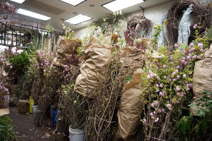 She has a florist account, but anyone can come in and pay cash.