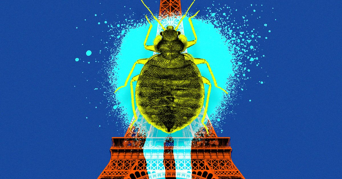 Will Paris Fashion Week Bedbugs Follow Travelers to NYC?
