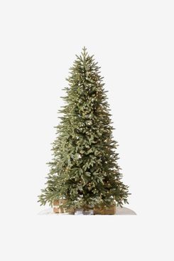 Balsam Hill Stratford Spruce - 6ft, Clear Incandescent Lights