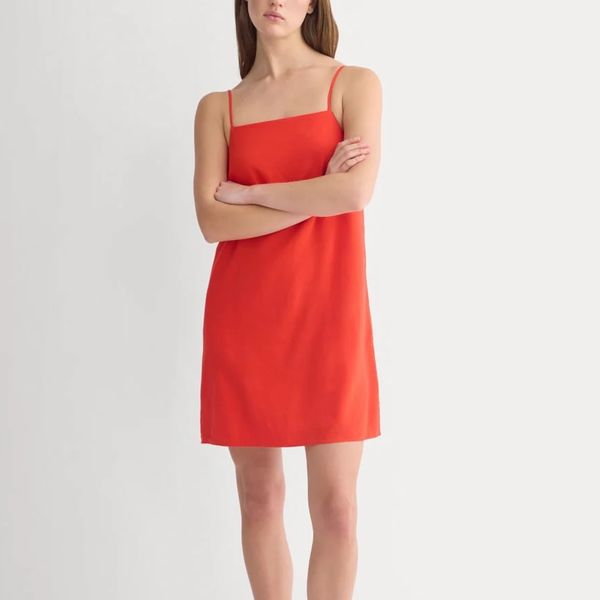 Everlane Mini Shift Dress in Stretch Linen