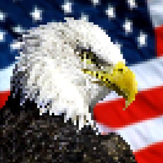 Alaska bald eagle against flag