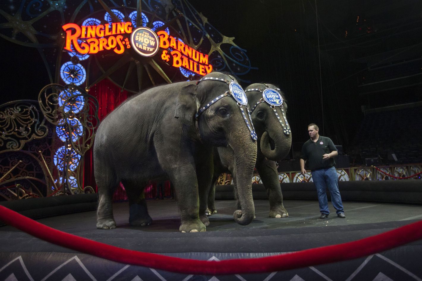 The Ringling Bros. Elephants Are Retiring Ahead of Schedule