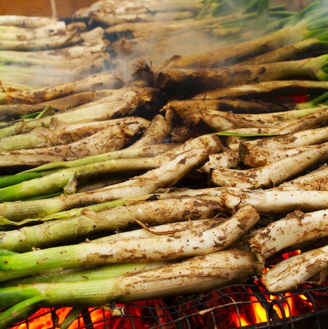 Come for the leeks, stay for the flamenco.