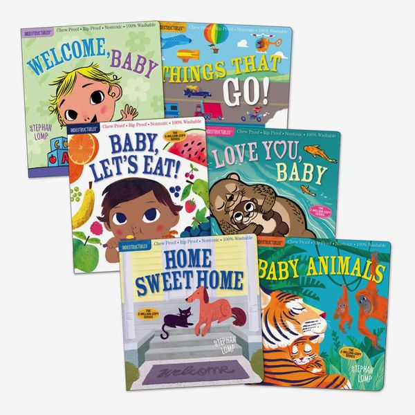 Indestructibles Basic Word Book Set for Infant and Toddlers, Set of 6